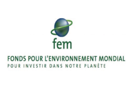 Document logo