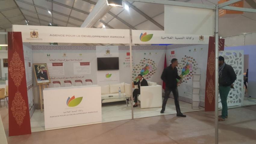 WhatsApp Image 2017-11-29 at 09.17.36.jpeg