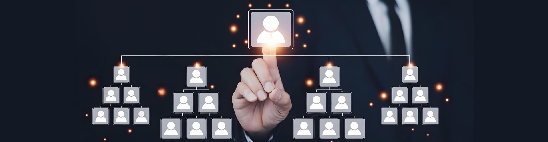 Organisation et Structure 