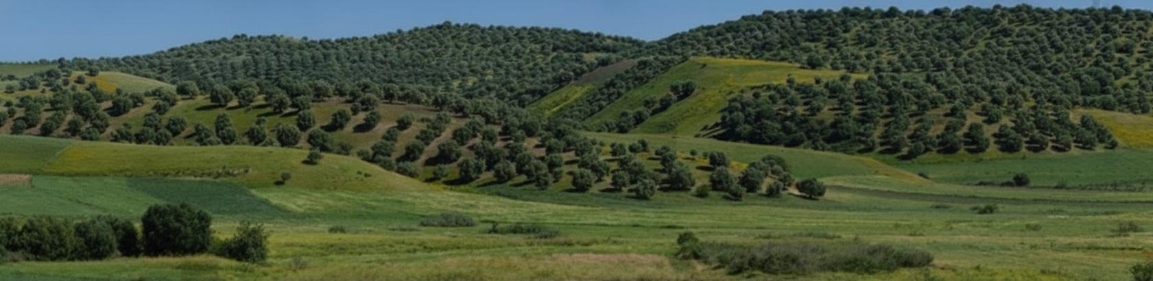 L’ADA au service du développement agricole